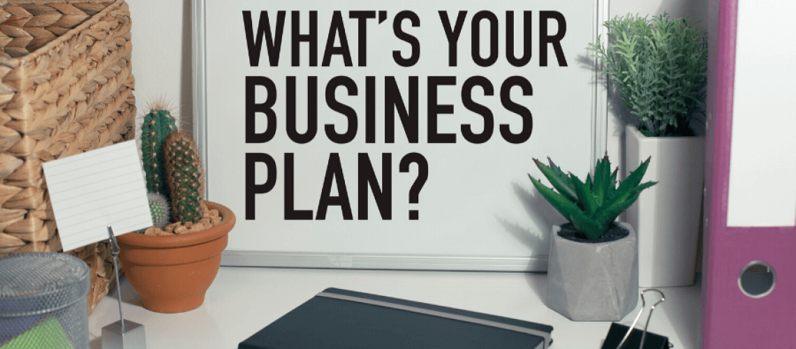 Dont think you need a business plan-BookWebsite-small